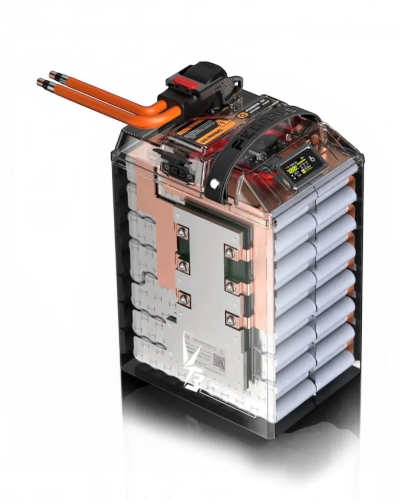 Pegasus 96V 56Ah Battery for Ultra Bee detail